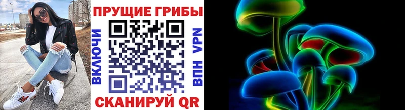 площадка формула  Юрьевец  Галлюциногенные грибы ЛСД 
